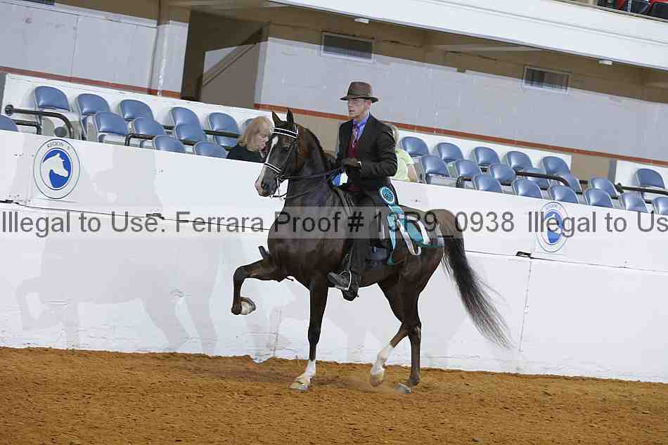 Proof 13r9_0938