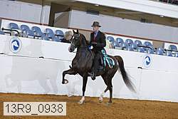 13r9_0938 proof