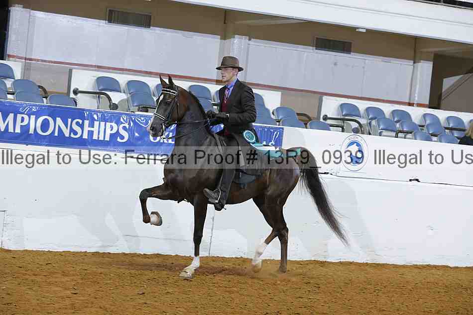 Proof 13r9_0939