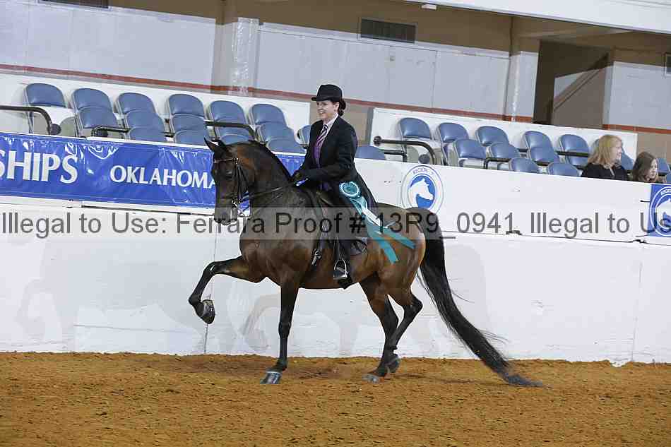 Proof 13r9_0941