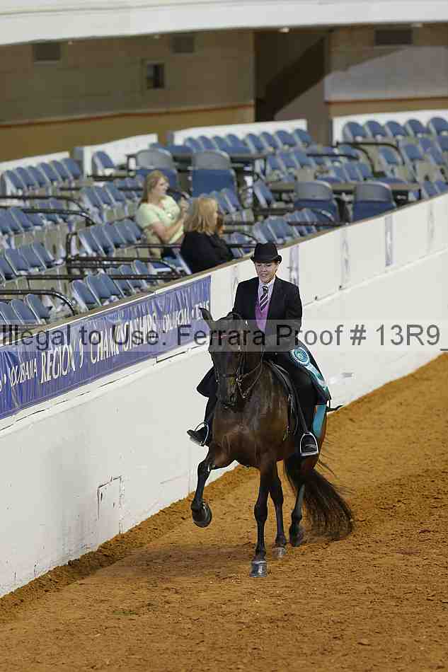 Proof 13r9_0944