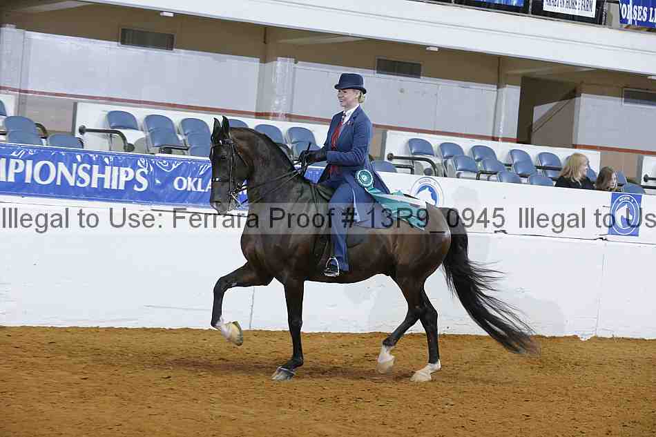 Proof 13r9_0945