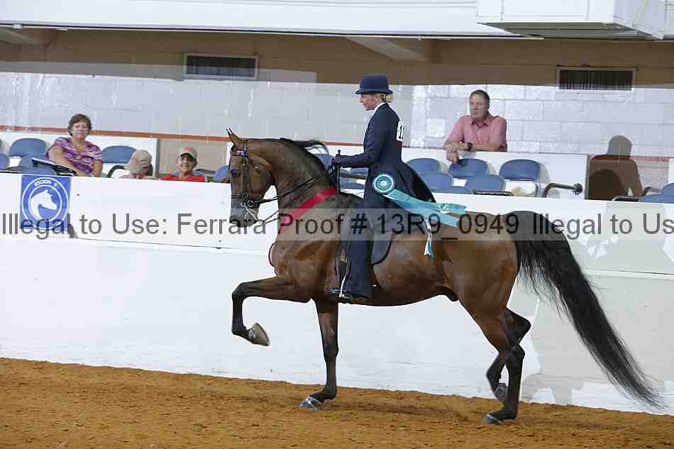 Proof 13r9_0949