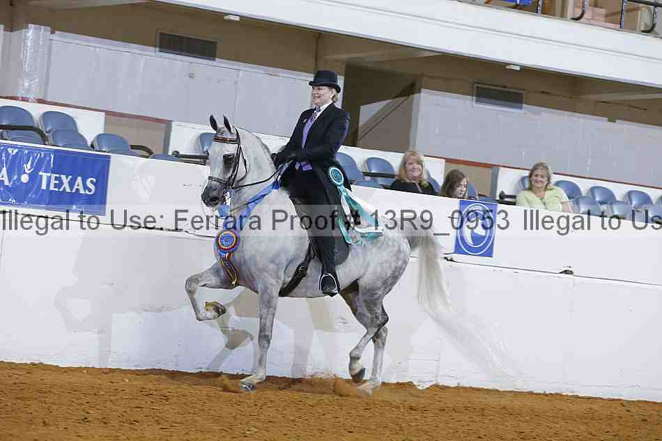 Proof 13r9_0953