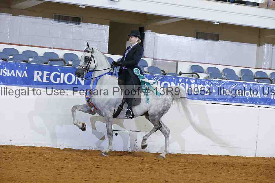 Proof 13r9_0954