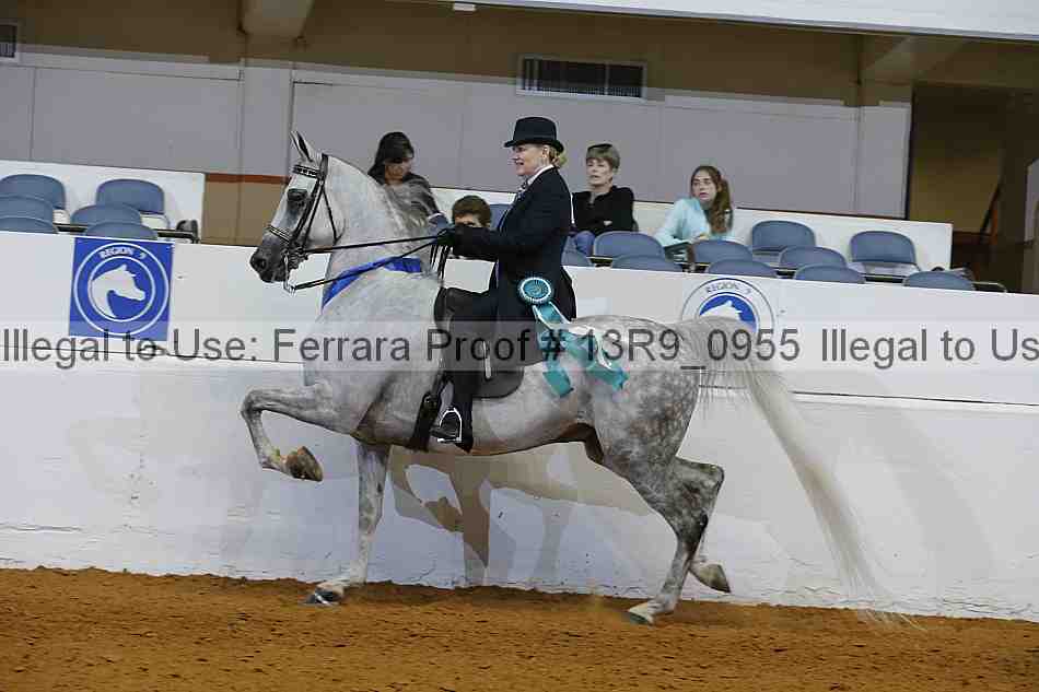 Proof 13r9_0955
