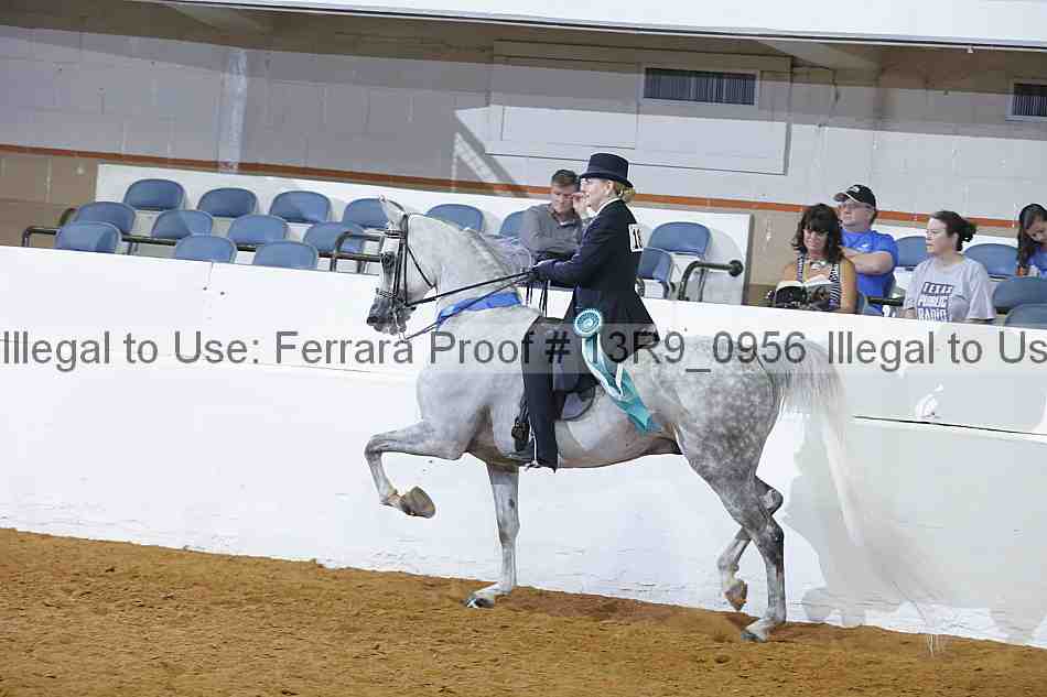 Proof 13r9_0956