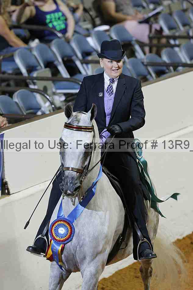 Proof 13r9_0958