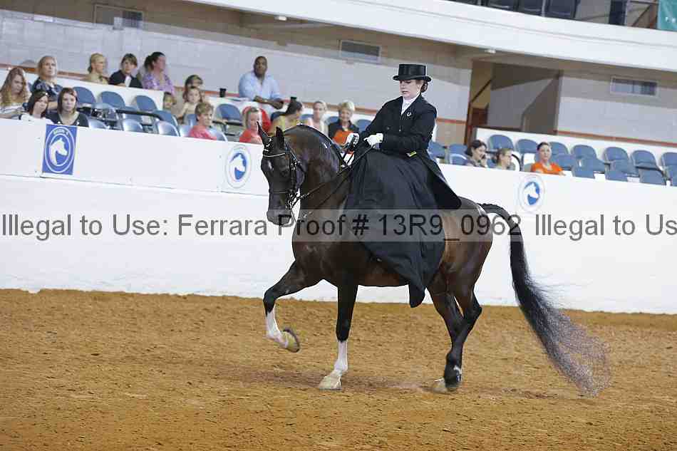Proof 13r9_0962