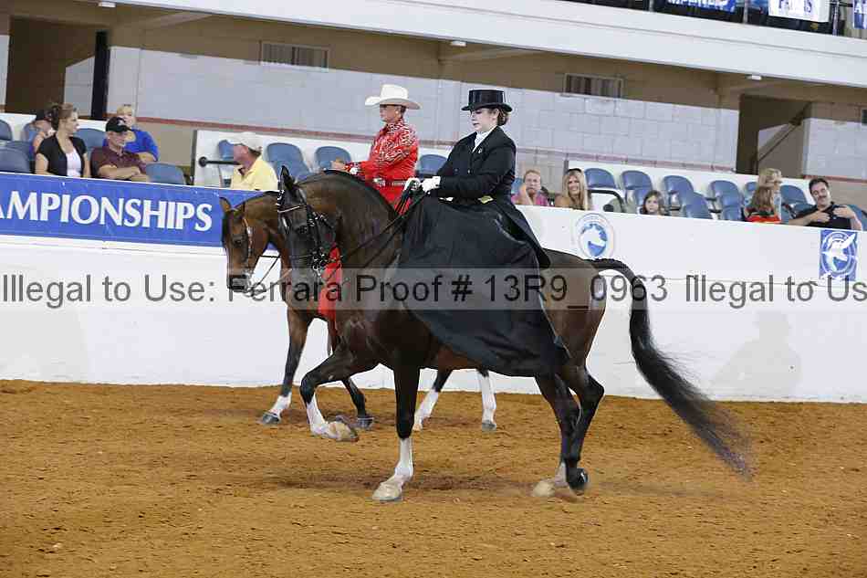 Proof 13r9_0963