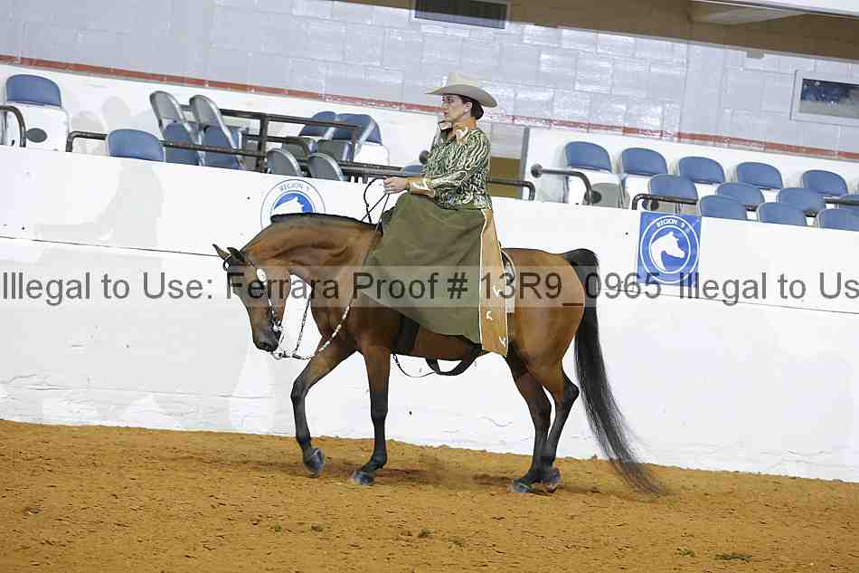 Proof 13r9_0965