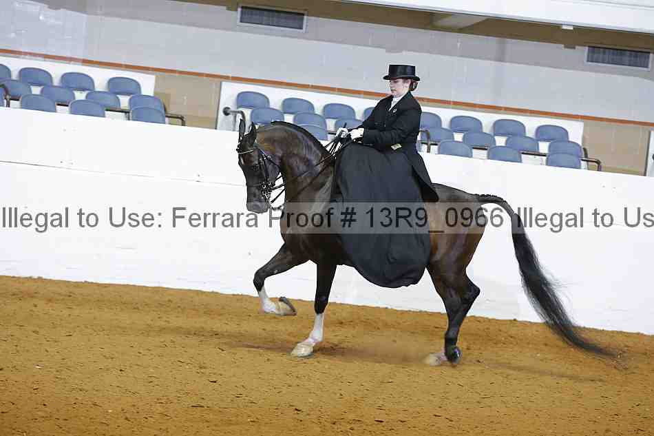 Proof 13r9_0966