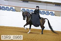 13r9_0966 proof