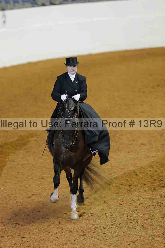 Proof 13r9_0969