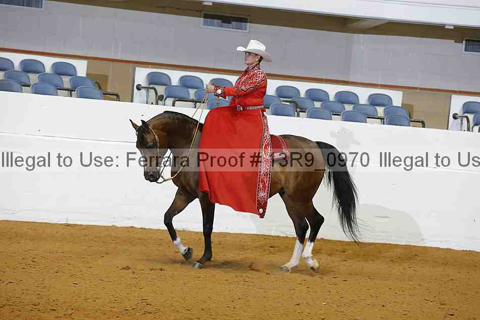 Proof 13r9_0970