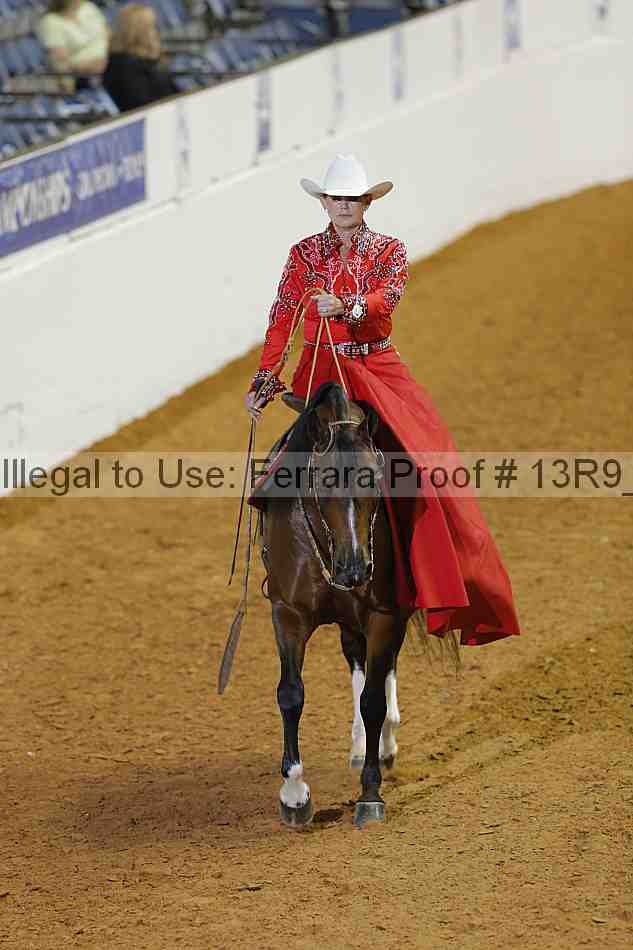 Proof 13r9_0972
