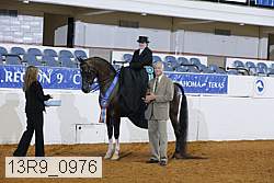13r9_0976 proof