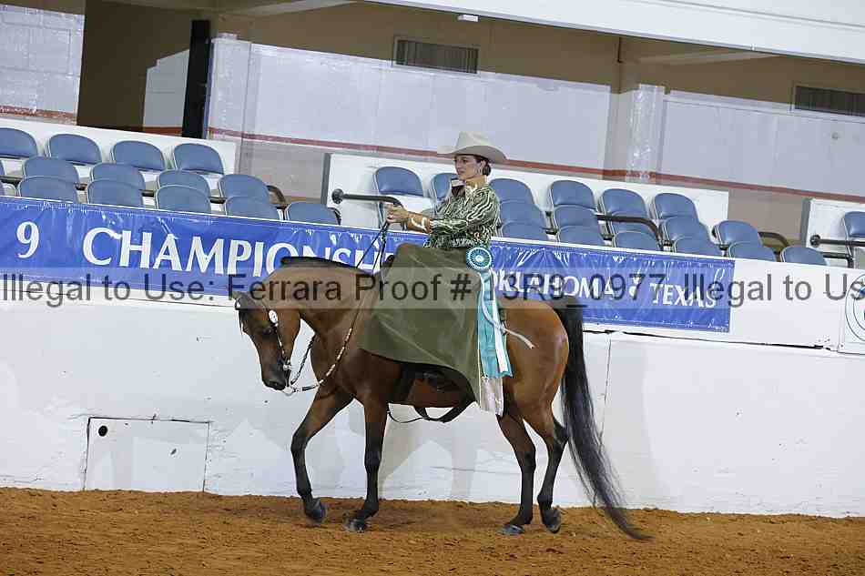 Proof 13r9_0977