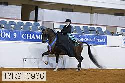 13r9_0986 proof