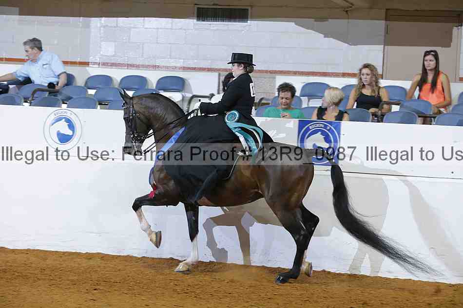 Proof 13r9_0987