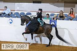 13r9_0987 proof