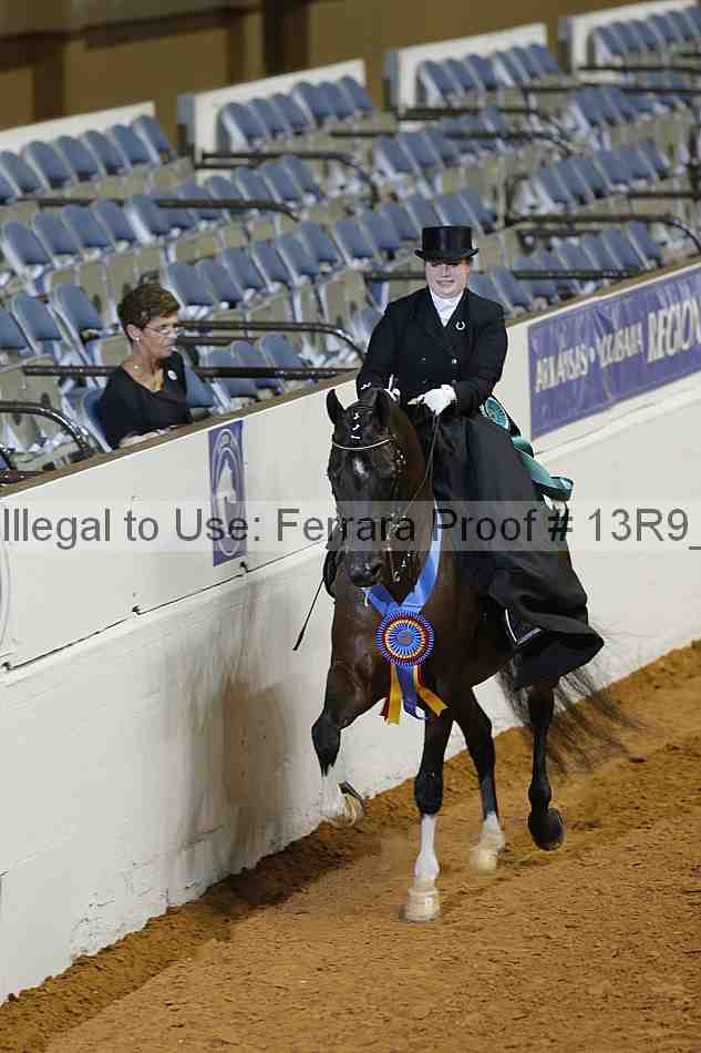 Proof 13r9_0989