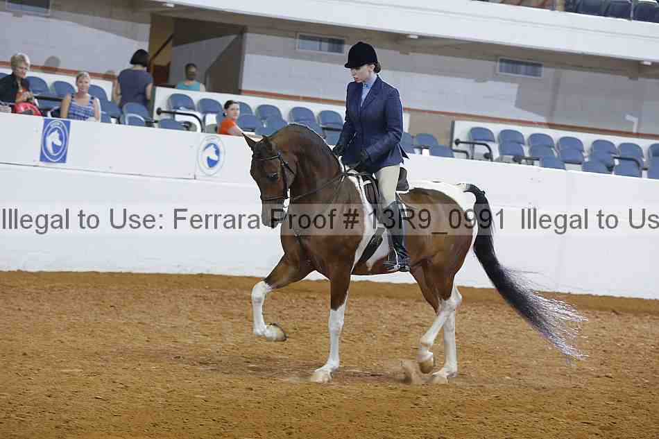 Proof 13r9_0991