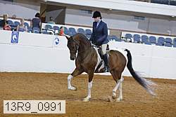 13r9_0991 proof