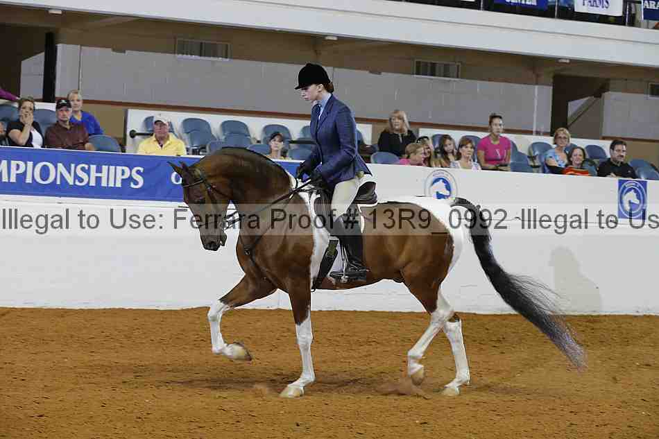 Proof 13r9_0992