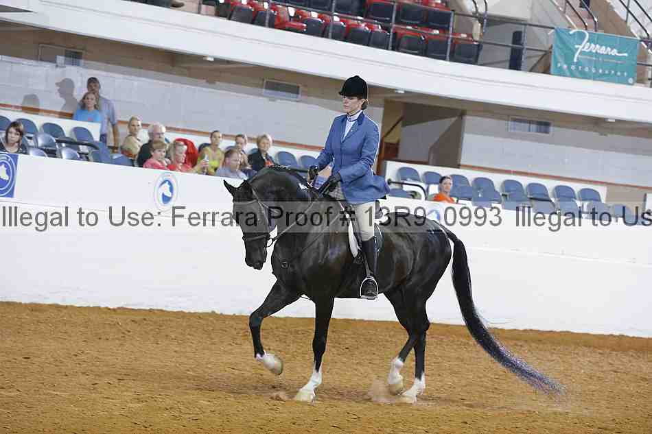 Proof 13r9_0993