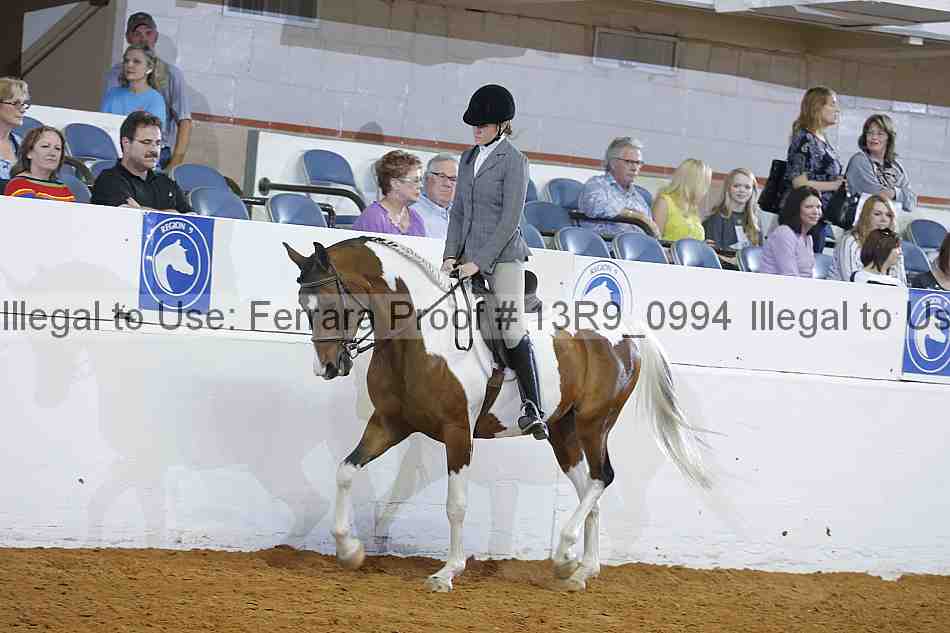 Proof 13r9_0994