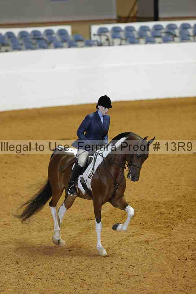 Proof 13r9_0995
