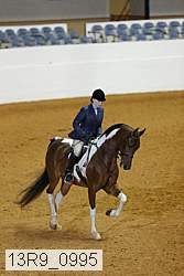 13r9_0995 proof