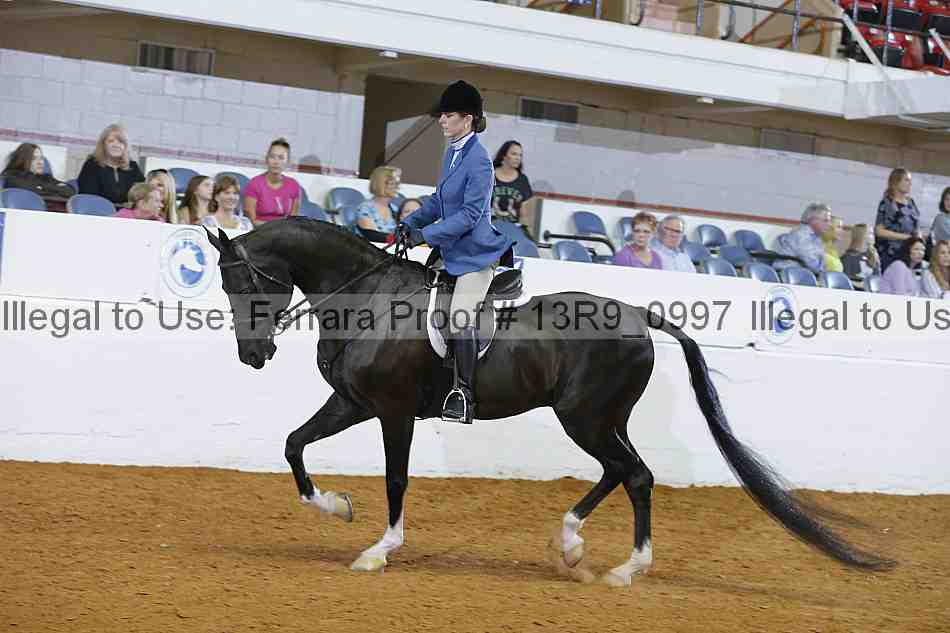Proof 13r9_0997