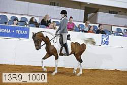 13r9_1000 proof