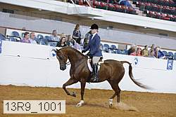 13r9_1001 proof