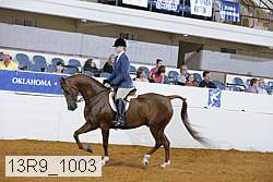 13r9_1003 proof