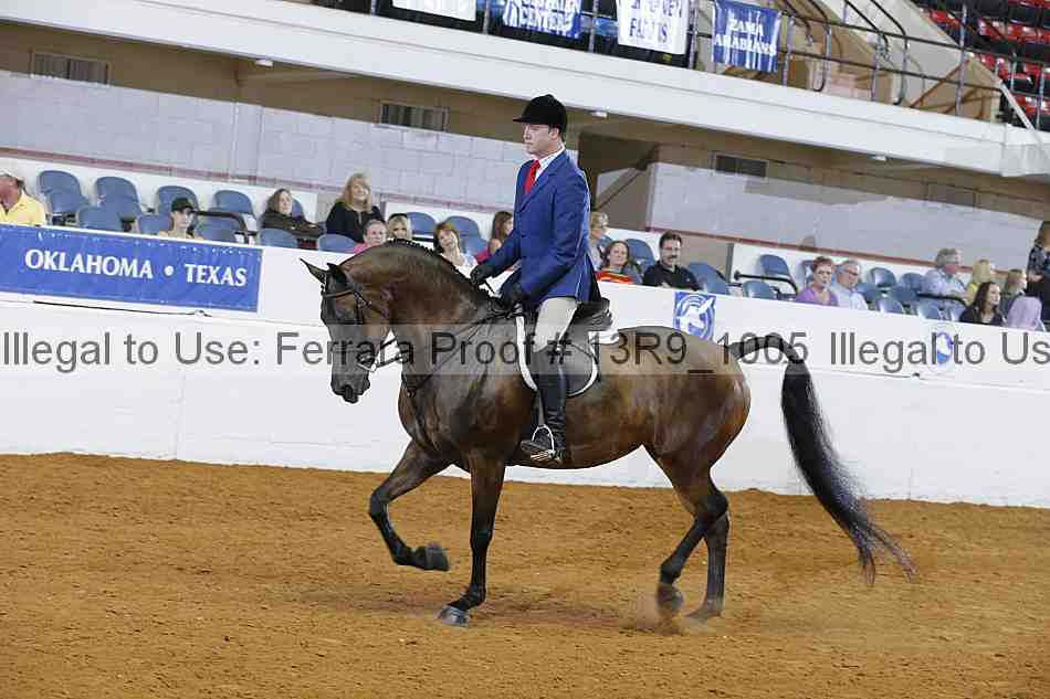 Proof 13r9_1005