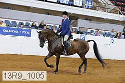 13r9_1005 proof