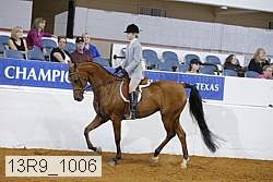 13r9_1006 proof