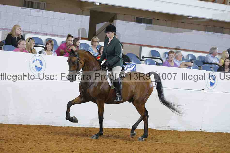 Proof 13r9_1007