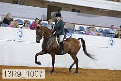 13r9_1007 proof