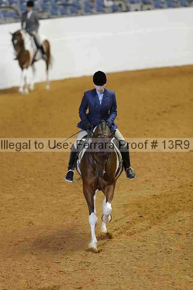 Proof 13r9_1009