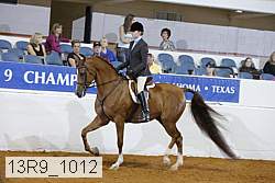 13r9_1012 proof