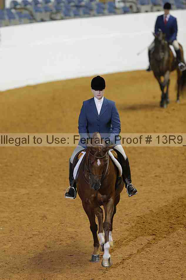 Proof 13r9_1013