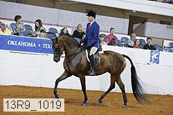 13r9_1019 proof