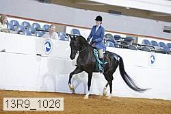 13r9_1026 proof