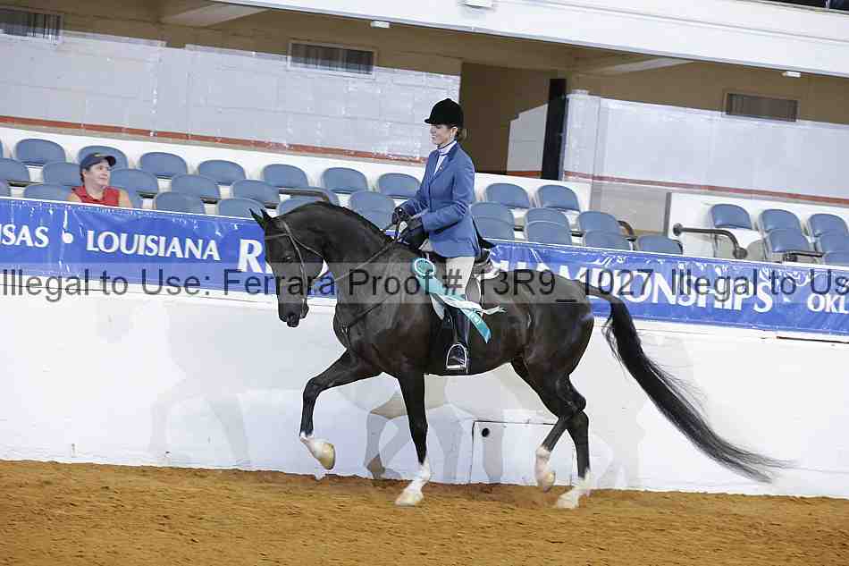 Proof 13r9_1027