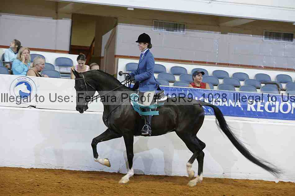 Proof 13r9_1028