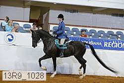13r9_1028 proof